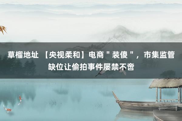 草榴地址 【央视柔和】电商＂装傻＂，市集监管缺位让偷拍事件屡禁不啻