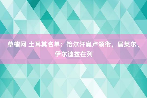 草榴网 土耳其名单：恰尔汗奥卢领衔，居莱尔、伊尔迪兹在列