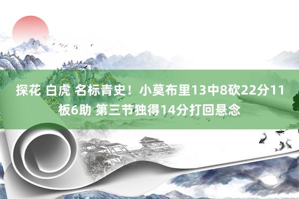 探花 白虎 名标青史！小莫布里13中8砍22分11板6助 第三节独得14分打回悬念