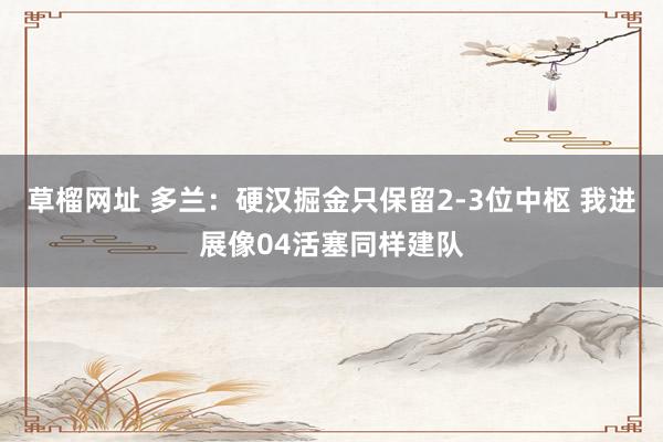 草榴网址 多兰：硬汉掘金只保留2-3位中枢 我进展像04活塞同样建队