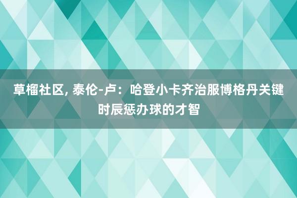 草榴社区， 泰伦-卢：哈登小卡齐治服博格丹关键时辰惩办球的才智
