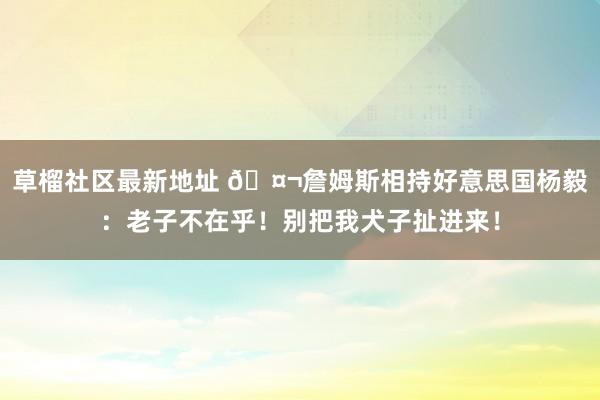草榴社区最新地址 🤬詹姆斯相持好意思国杨毅：老子不在乎！别把我犬子扯进来！