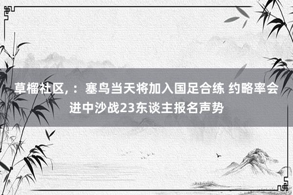 草榴社区， ：塞鸟当天将加入国足合练 约略率会进中沙战23东谈主报名声势