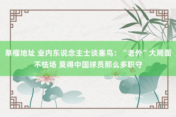 草榴地址 业内东说念主士谈塞鸟：“老外”大局面不怯场 莫得中国球员那么多职守