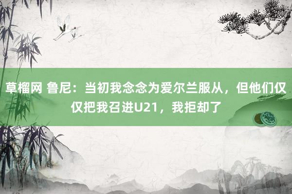 草榴网 鲁尼：当初我念念为爱尔兰服从，但他们仅仅把我召进U21，我拒却了