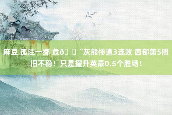 麻豆 孤注一掷 危🚨灰熊惨遭3连败 西部第5照旧不稳！只是擢升英豪0.5个胜场！